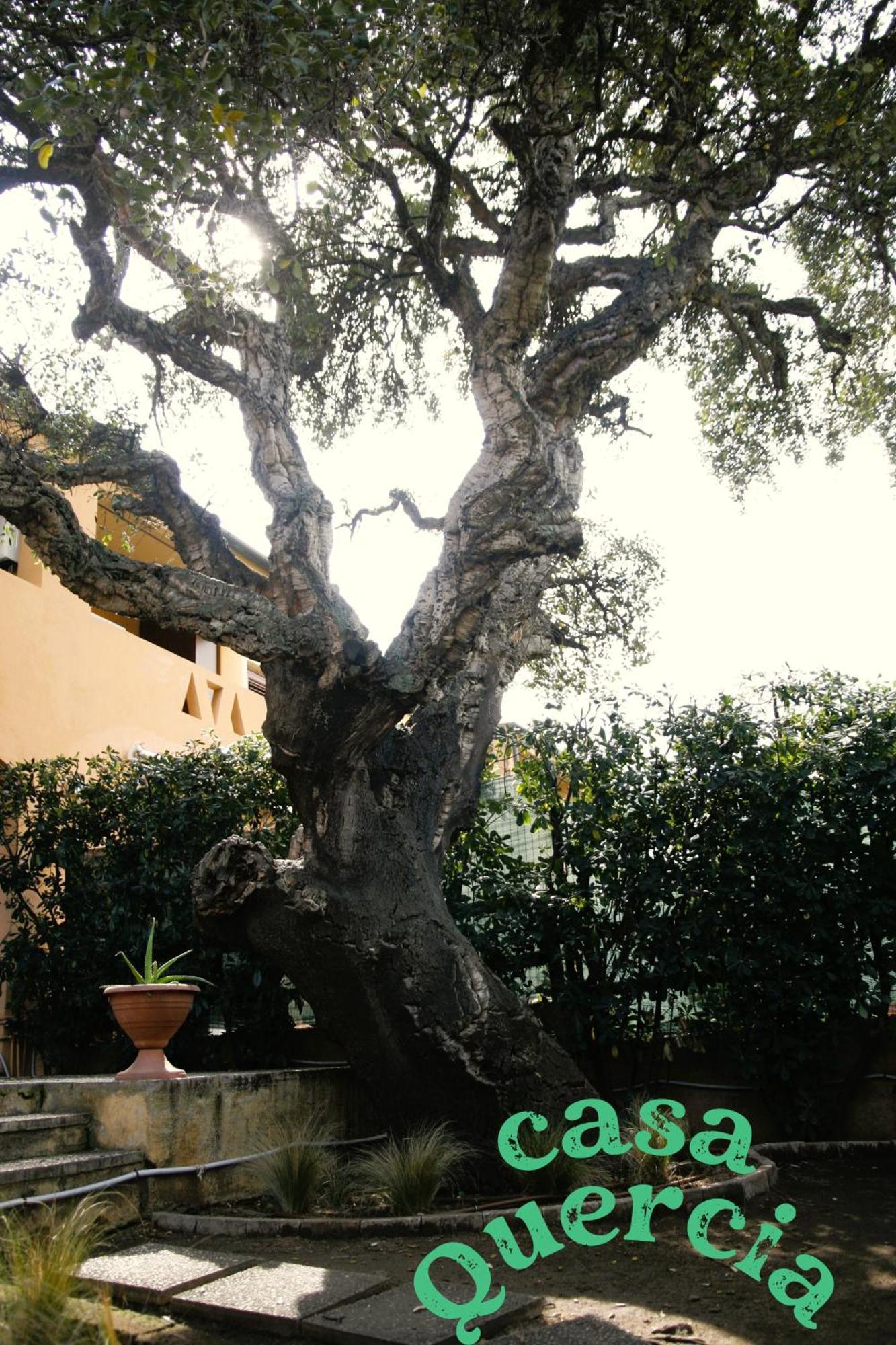Apartment Casa Quercia Olbia